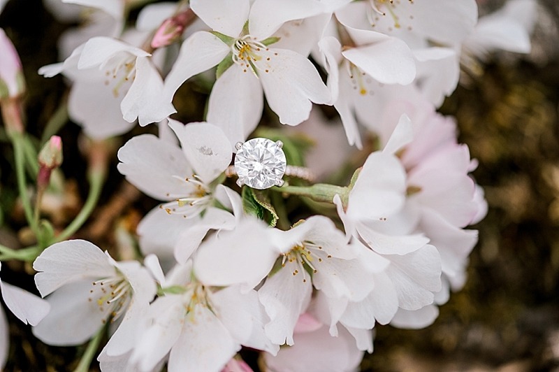 Cherry Blossom Engagement Session