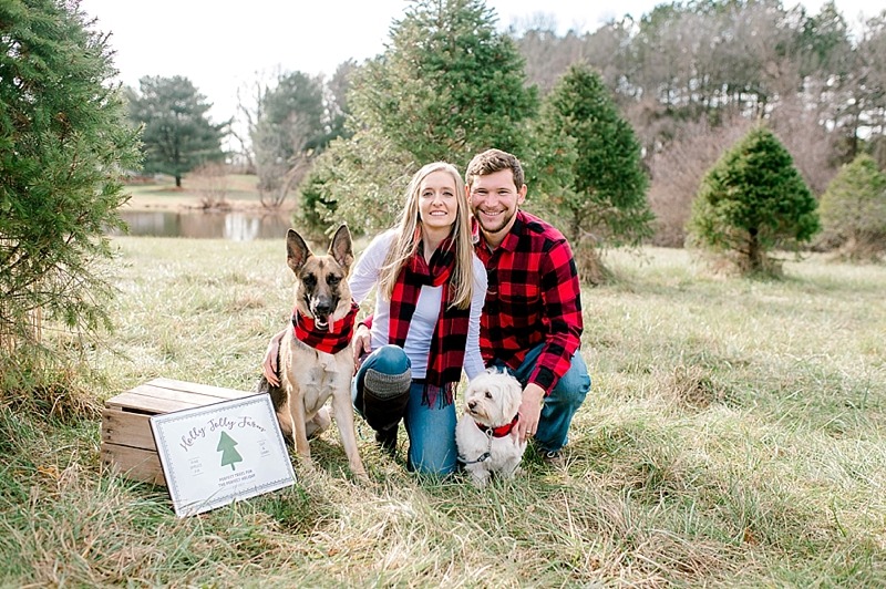 Centreville Maryland Christmas Tree Farm Mini Sessions