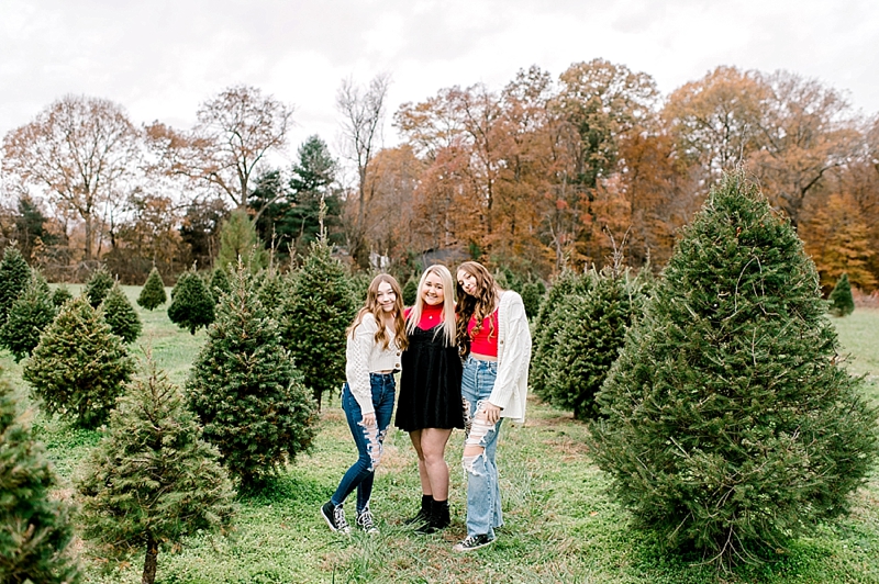 Christmas Tree Farm Mini Sessions Maryland