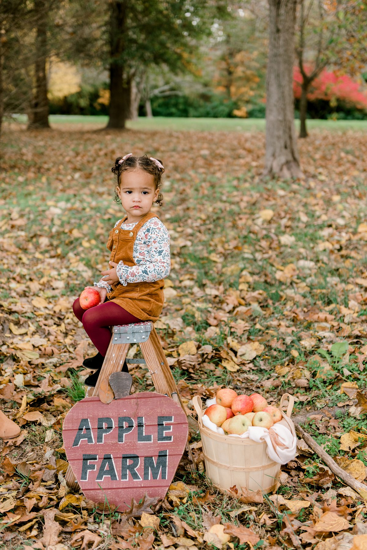 Fall Wheller Fall Mini Sessions~ Eastern Shore Family Photographer - Erin Wheeler ...